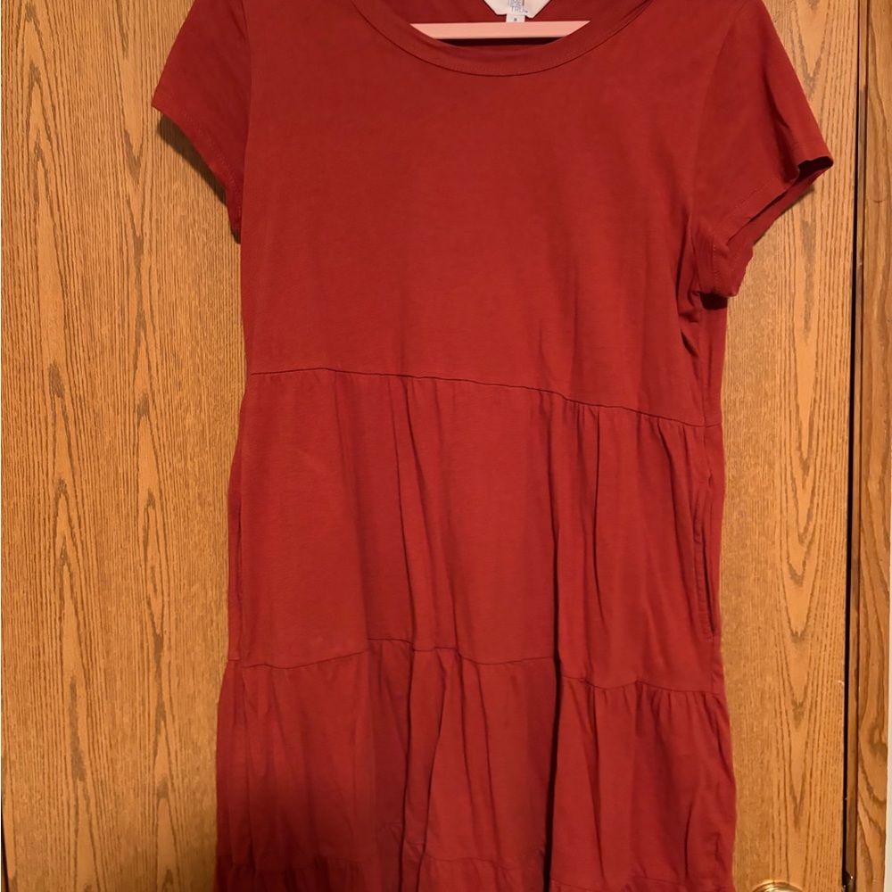 Time and Tru Rust Mini Dress